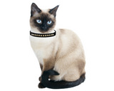 Black Velvet Cat Breakaway Collar - NEW!!!