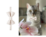 The Blushing Matching Detachable Cat Bow Tie & Collar Set