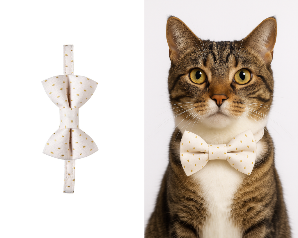 The Blushing Matching Detachable Cat Bow Tie & Collar Set