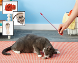 Cat Catcher Interactive Wand Toy - Several Attachments Available!