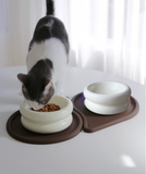 Elevated Halo Cat Bowl - NEW!!!