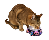 Laurel Burch™ Fantasticats Cat Food & Water Bowl - NEW!!!
