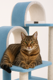Classic Arched Cat Tree