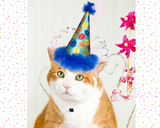 Party Time Cat Hat - SALE- 50% OFF - LOW STOCK!!