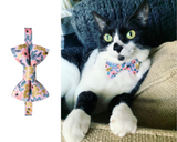 Catchella Matching Detachable Bow Tie & Collar Set
