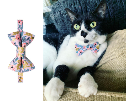 Catchella Matching Detachable Bow Tie & Collar Set