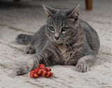 Catnip Plaque Away Pretzel Toy - NEW!!!