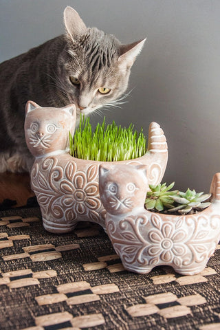 Large Kitty Garden Planter - NEW!!!