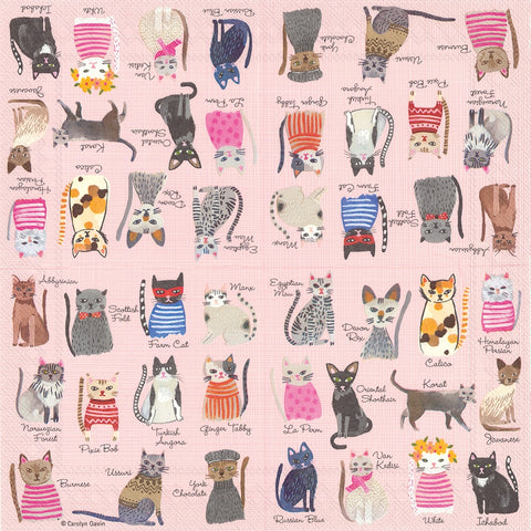 Cool Cats Paper Cocktail Napkins - 20Pk - NEW!!!