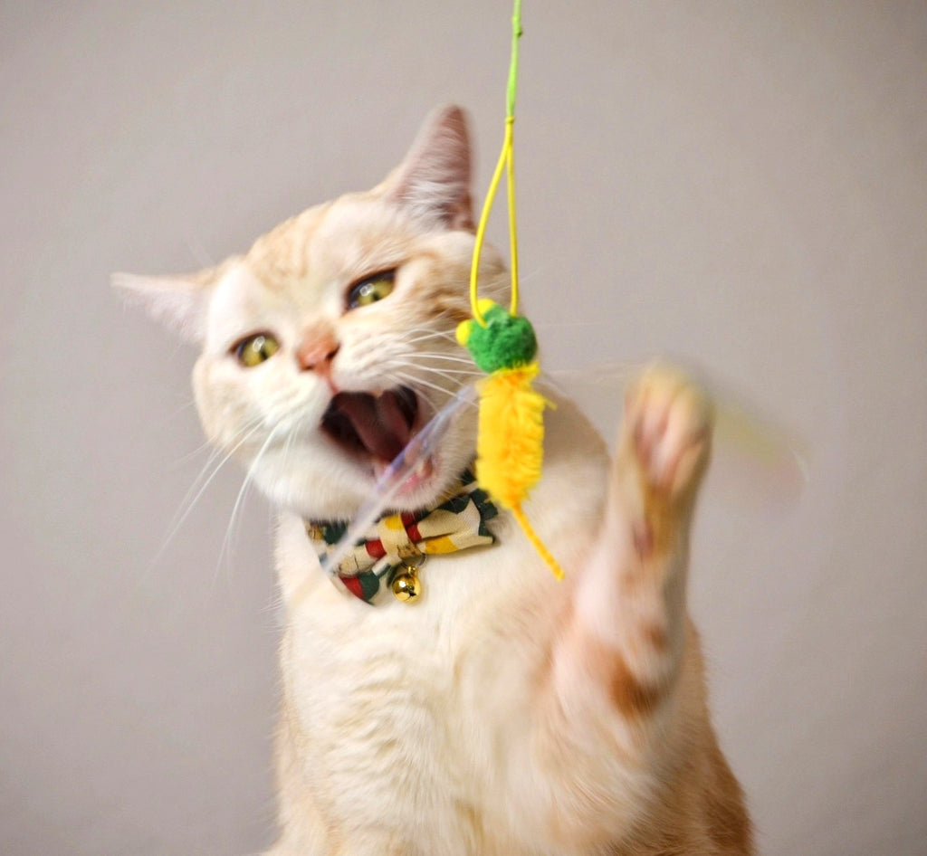 Crinkly Critters Bouncy Bee Adjustable Cat Wand Toy - NEW!!!