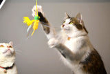 Crinkly Critters Bouncy Bee Adjustable Cat Wand Toy - NEW!!!