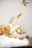 Crinkly Critters Fancy Flutterfly Cat Wand Toy - NEW!!!