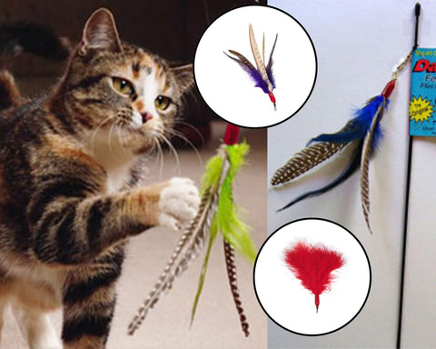 Da Bird Pull Apart Teaser Wand Cat Toy With Turkey Feathers – Go Cat GC001