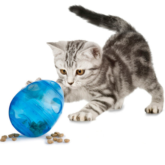 Fun Kitty Egg-Cersizer - NEW!!!