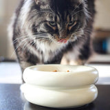 Elevated Halo Cat Bowl - NEW!!!