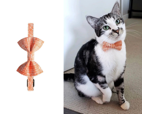 The Firecracker Detachable Matching Bow Tie & Collar Set