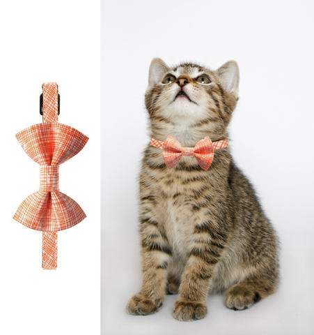 The Firecracker Detachable Matching Bow Tie & Collar Set