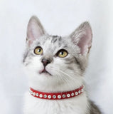 Deluxe Red Pearl & Crystal Cat Breakaway Collar - 2 Sizes Available -NEW!!!