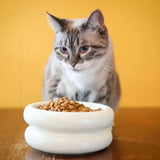 Elevated Halo Cat Bowl - NEW!!!