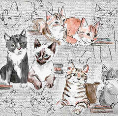 Cat Lover Gift Collection:  For the Home