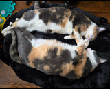 3-in-1 Lily Pad Convertible Lounger