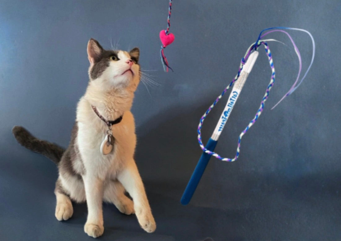 Cat Tail Telescopic Teaser Toy – My Three Cats & Co.