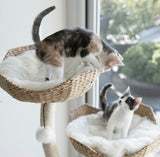 The Ivy Cat Tree - 3 Levels