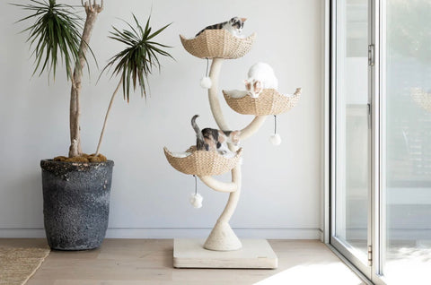 The Ivy Cat Tree - 3 Levels