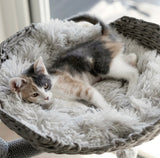 The Ivy Cat Tree - 3 Levels