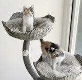 The Ivy Cat Tree - 3 Levels