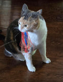 Dezi & Roo Wiggly Wand Toy with Worm Tail