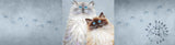 Sully & Bucky 120-Hour Soy Candle - Personalize your Scent - NEW!!!