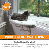 Window Kitty Sill