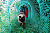 Kittywalk® Deck & Patio
