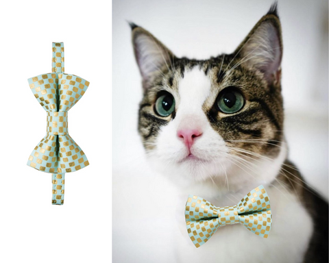 The Maverick Matching Detachable Bow Tie & Collar Set