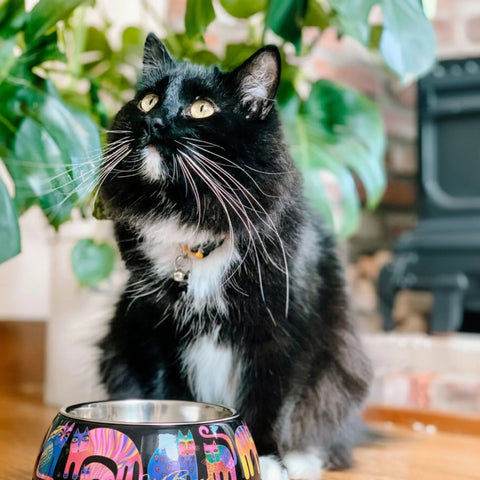 Laurel Burch™ Fantasticats Garden Cat Food & Water Bowl - NEW!!!
