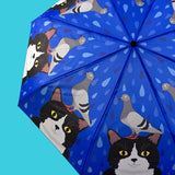 Pigeon and Tuxedo Cat Umbrella - NEW!!!