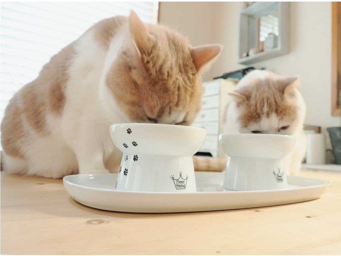 4 Pcs Ceramic Raised Cat Bowls - Tilted Elevated Food Dish, Anti-Vomit Pet Feeder For Cats & Small Dogs