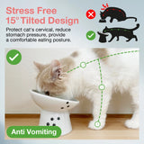 Stress-Free Tilted, Raised Porcelain Cat Food Bowl