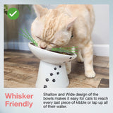 Stress-Free Tilted, Raised Porcelain Cat Food Bowl