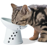 Stress-Free Tilted, Raised Porcelain Cat Food Bowl