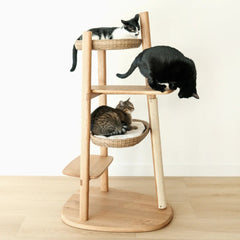 Cat Furniture