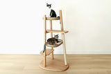Reiya Modern Cat Tree - NEW!!!