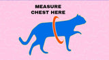 The True Adventurer Reflective Cat Harness & Lead - NEW!!!