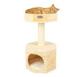 Scots Pine Cat Lounger and Scratcher - NEW!!!