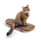 Skateboard Scratcher - NEW!!!