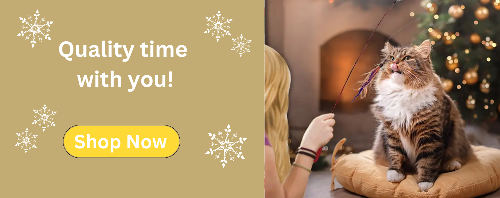 Cats protection christmas catalogue 2019 cheap
