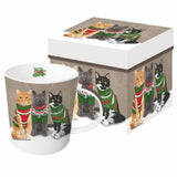Sweater Cats Bone China Gift Mugs - NEW!!!
