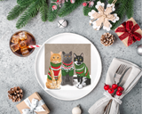 Sweater Cats Bone China Gift Mugs - NEW!!!