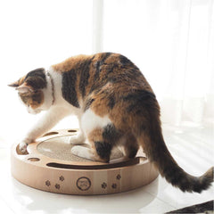 Teasers &amp; Interactive Cat Toys